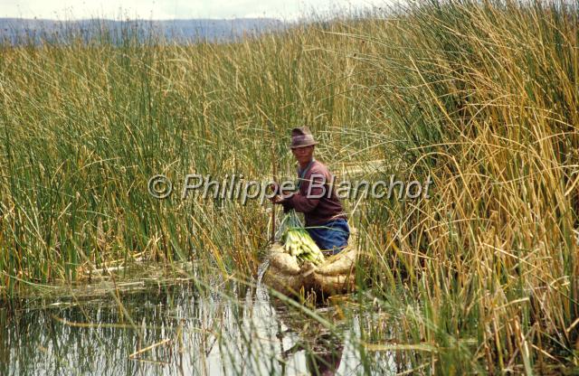 perou 18.JPG - Iles flottantes UrosLac TiticacaPérou